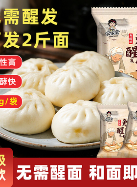 家家会免醒发宝免发酵酵母粉13克家用小包蒸馒头包子面包专用烘焙