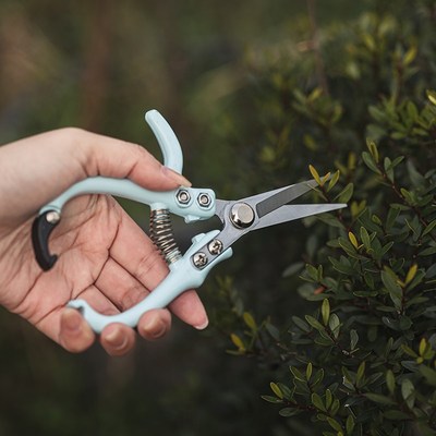 速发防脱省力颜值高剪花剪刀高碳钢蔬果修枝剪修花剪园艺工具剪子