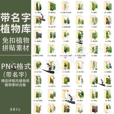 带名字ps植物素材免扣png灌木乔木花卉草地爬藤树景观拼贴效果图