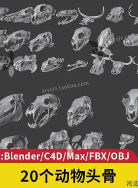 动物头骨3d模型blender羊角骨头鳄鱼max建模牛头c4d