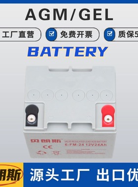 LC-PE1224后备电源蓄电池12V24Ah阀控式ups直流电池出口