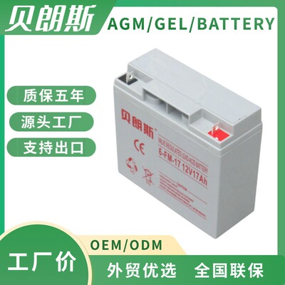 S312/17铅酸蓄电池S300系列Powerfit胶体电池GNB贝朗斯同款厂家