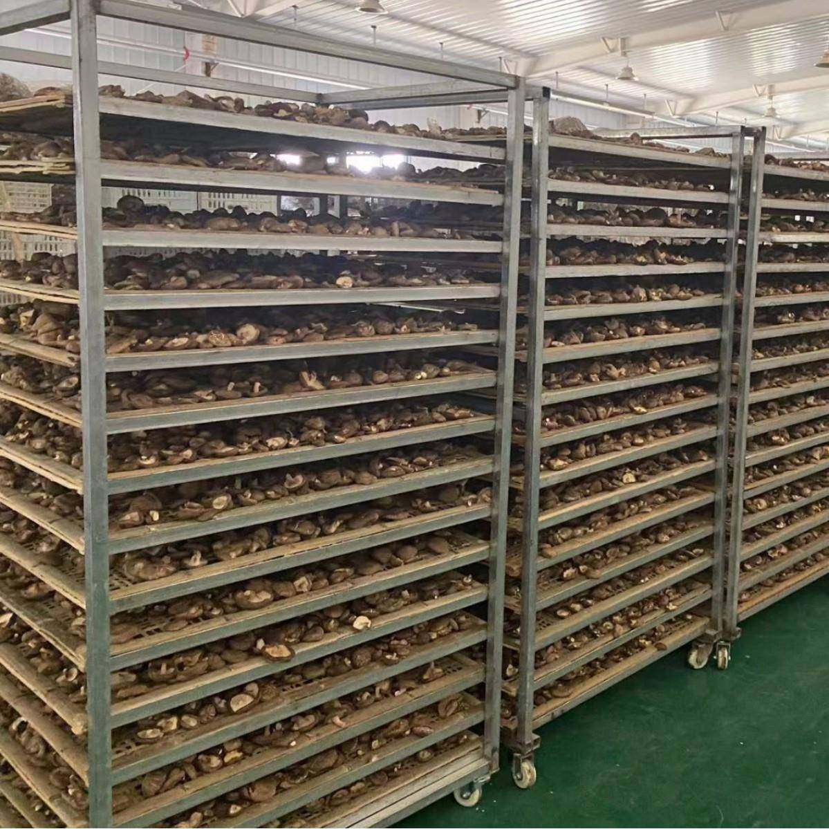 大型木材干燥烘箱榛蘑香菇腊肠烘干房设备茶叶药材空气能烘干机,工业油品/胶粘/化学/实验室用品,其他实验室设备,淘宝优惠券,粉丝福利购,淘宝优惠卷