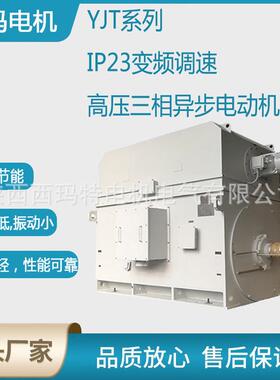 西安泰富电机YJTF5001-6极710W低压大功率三相异步电动机厂