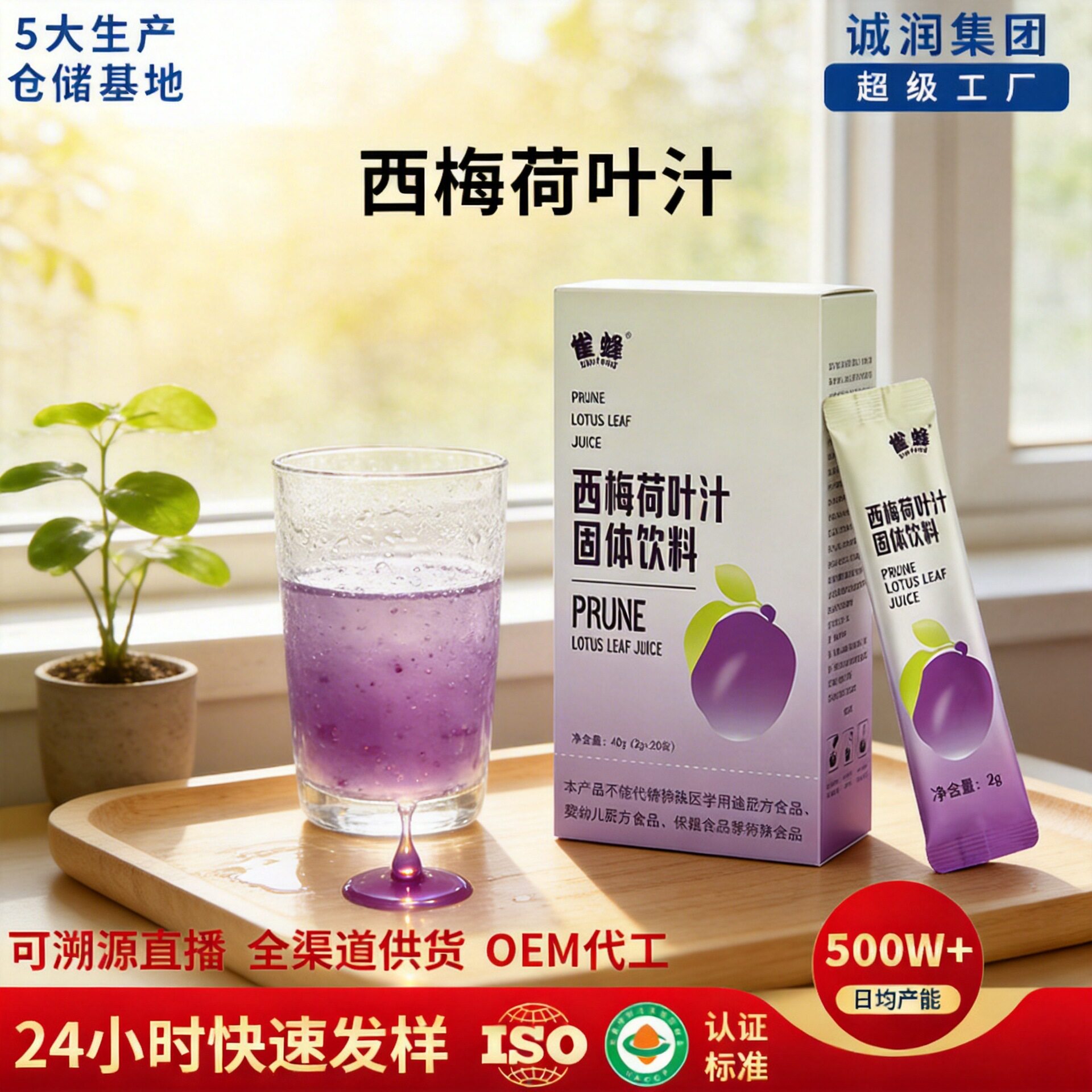 雀蜂西梅荷叶汁酵素荷叶粉固体