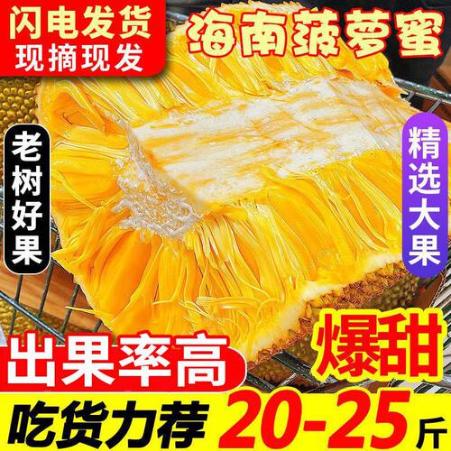 海南三亚黄肉菠萝蜜新鲜水果假