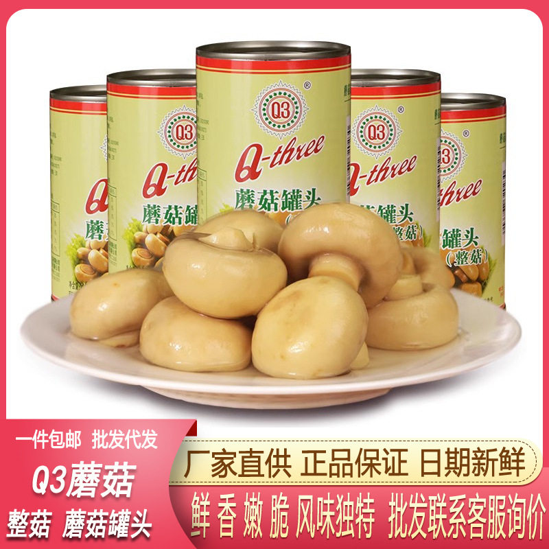 福建Q3蘑菇罐头400g整菇食用菌
