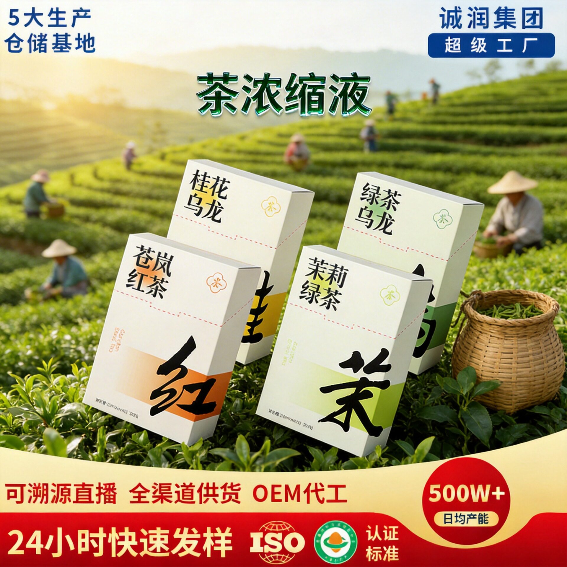 雀蜂桂花乌龙冷萃茶原液茉莉绿茶