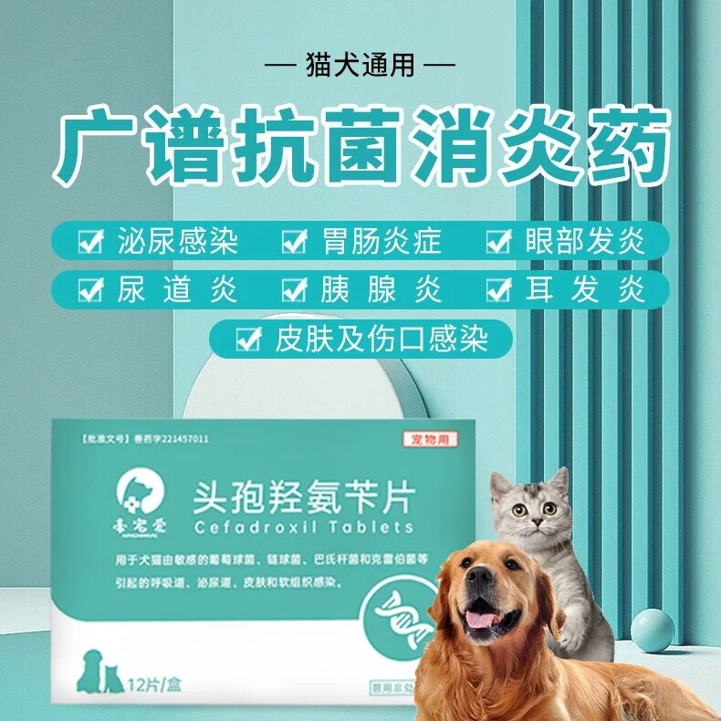豪宠爱狗形头孢羟氨苄片消炎药幼猫幼犬皮肤病猫咪狗呼尿路泌尿炎