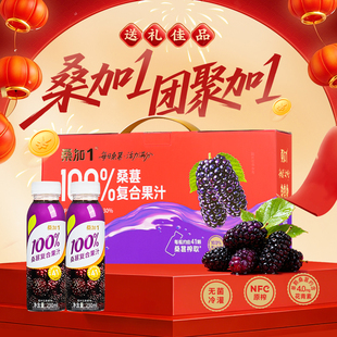 桑加1 桑葚复合果汁桑葚果汁290ml*10新年果汁礼盒装