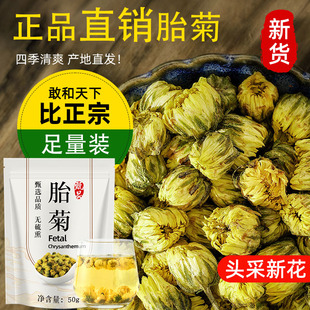 2026新茶【头茬新花】胎菊菊花茶50g正宗杭白茶菊花茶非特级冲泡