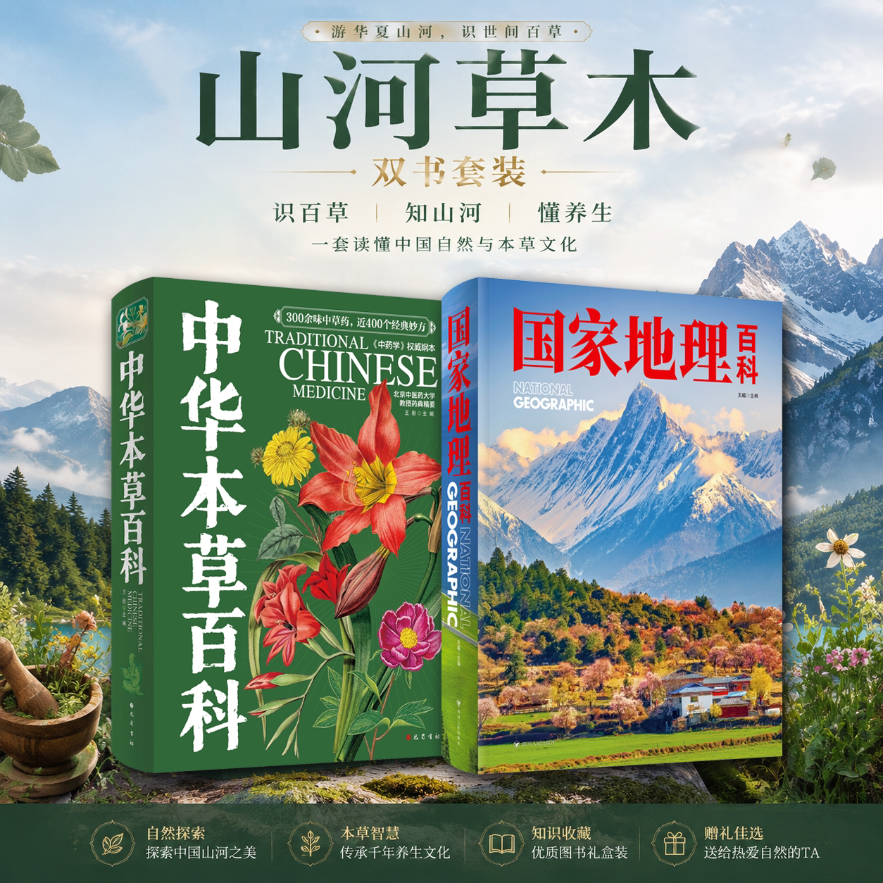 中华本草百科国家地理百科中医本草中药材图鉴图谱中草药性功效知识大全零基础入门中医学习养生食疗300味中草药材二十四节气食谱