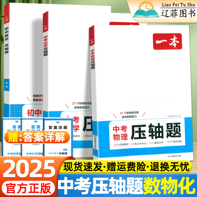 一本初中数学压轴题数学