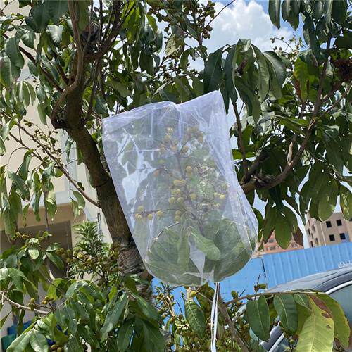 水果套袋果实防鸟防虫专用网套袋葡萄无花果石榴瓜果释迦保护袋子