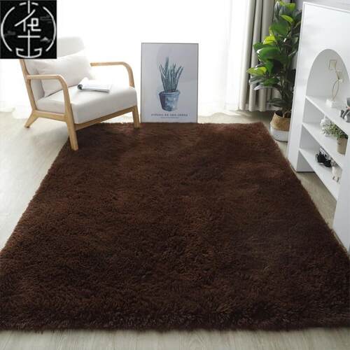 Fluffy Area Rugs for Bedroom Shaggy Floor Mat Carpet 地毯垫