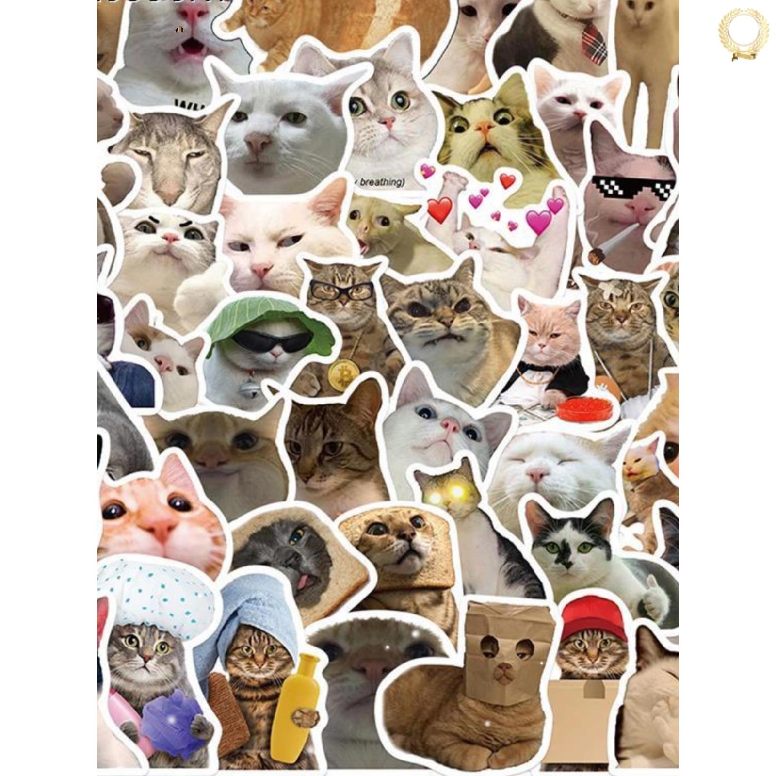 50PCS Cat MEME Funny Animals Stickers Vintage Toy 贴纸不干胶