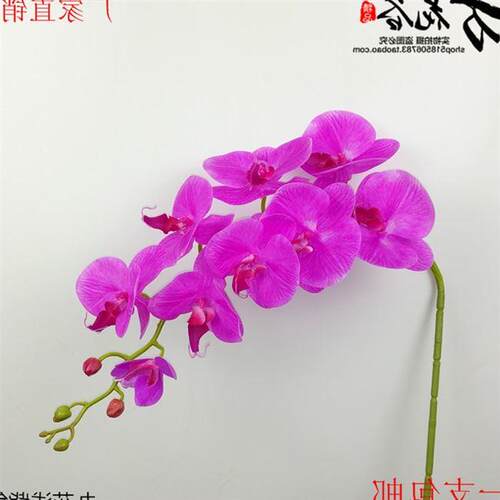 pu gluing simulation flower butterfly orchid feel single dry