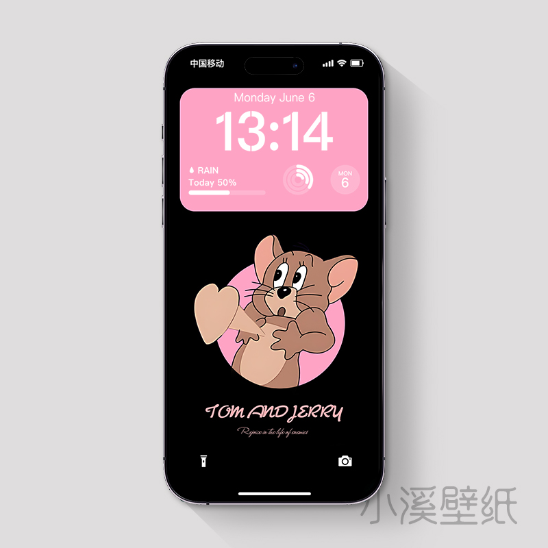 手机壁纸怦然心动的杰瑞INS少女iphone苹果华为小米4k高清主题31
