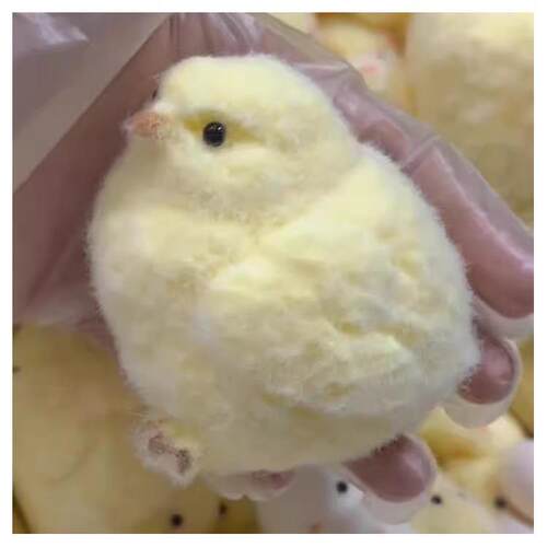 Chick Taba Squishy Toys Ultra Soft Squeeze Fidget rua泥感鸡