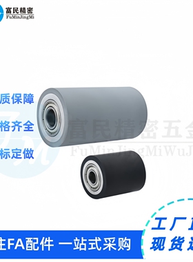 C-RORGS/RORUS25-30-35-40-50-20-30-40-50聚氨酯包胶滚轮 带轴承