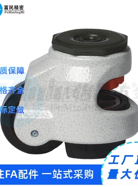 CGT01 J-CGR01/125/C-CTGK100/AFCLA75 福马轮 丝杆活动型