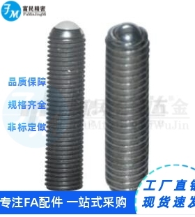 ZAH51 ZAH52-M4/M5/M6/M8/M10/M12/M16定位珠 无防松型不锈钢长型