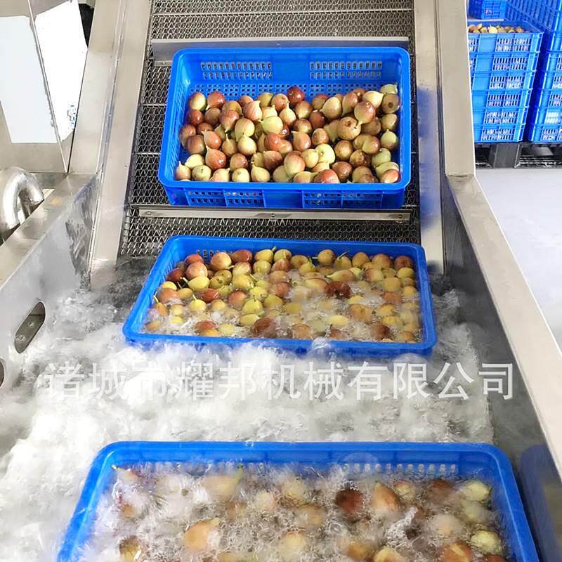 无花果清洗机 连续网带传送冬枣清洗设备 大型泡沫式全自动洗枣机