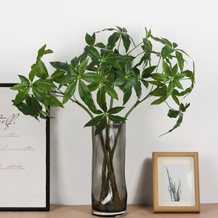 仿真发财树叶子 手感过胶假树枝 园林工程家居装饰  仿真绿植植物