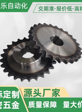 经济型 链轮08B C-SPB08B19-N-19/20/22/25/C-SPB08B19-N-30 链条