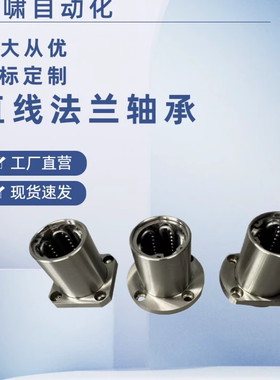 LHIFSF/LHIFSMF10 12 13 16 20 25 30引导式方法兰钢保直线轴承