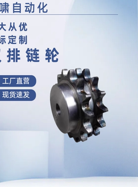 50B双排链轮SP50SD15-N-20  SP50SD16/SP50SD17-N-25 28 30 35 40