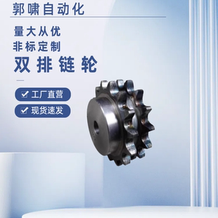 SP50SD16 SP50SD17 50B双排链轮SP50SD15