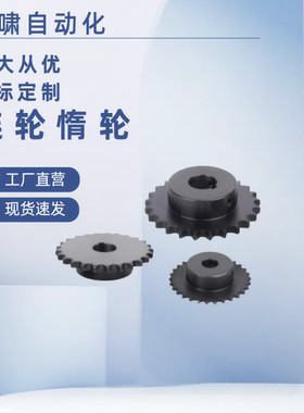 50B 链轮 SP50B25-N-24/25/28/30/32/35/38/40/45