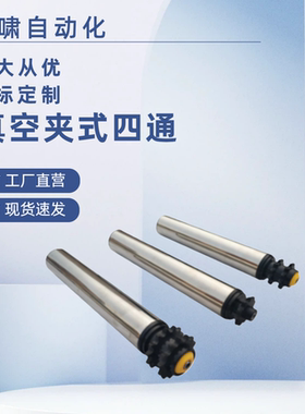 QCH21/22-D50 60 76 80-W700-T2-d12 15动力输送滚筒单头双链轮型