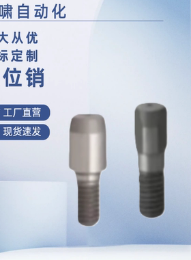 外螺纹型 JPNBB CJPNBB SJPNBB 3 4 5 6 8 10定位销 大头锥角型