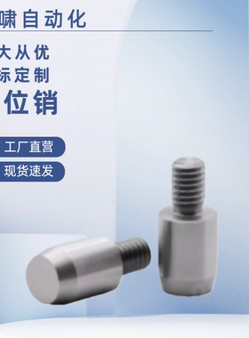 YBY01 11 02 12 03 13 05 15 21 YBY58-D-PL大头锥角外螺纹定位销