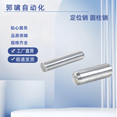 定位销 BLW62 BLW52-h7-D2 D3 D4 D5 D6-L6/8/10/12/15/18/20/30