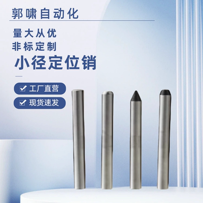 SFST SFSS SPST SPSS STST STSS SXST SXSS小径定位销 直柱型
