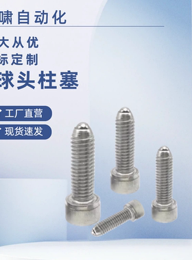 六角球头柱塞BPRH4/5/6/8/10/12/16-10/15/20/25/30/40/50螺栓型