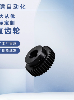 VNF01/02/03/21/22/23/41/42/43-1.0-20 24-B10-A/B-6 8 10直齿轮