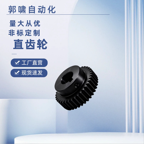 VNF01/02/03/21/22/23/41/42/43-1.0-20 24-B10-A/B-6 8 10直齿轮