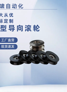 导向轮V型WBSN WBSB WBS-D20 D30 D40-Z3 Z5 Z6-d3 d5 d8 d10 d12