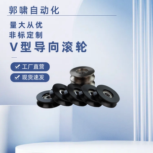 导向轮V型WBSN WBSB WBS-D20 D30 D40-Z3 Z5 Z6-d3 d5 d8 d10 d12
