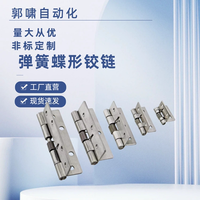 HFG61-25/38/51不锈钢304弹簧铰链HHSP25/38/51自动回位弹簧合页