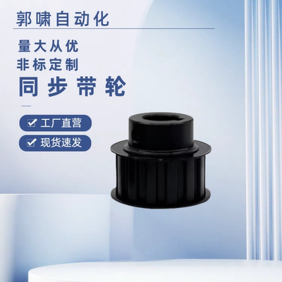 HTPA38S8M250-B-P12P14P15P16P18P19P20P22P24P25P28303235同步轮