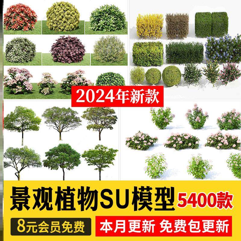 园林景观庭院植物三维真实花草树木乔木花卉灌木草图大师SU模型库