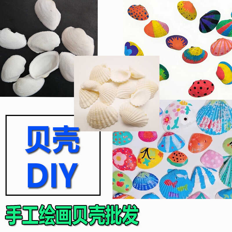 DIY材料贝壳白厚扇贝绘画天然白贝壳鱼缸造景装饰品幼儿园手工图片