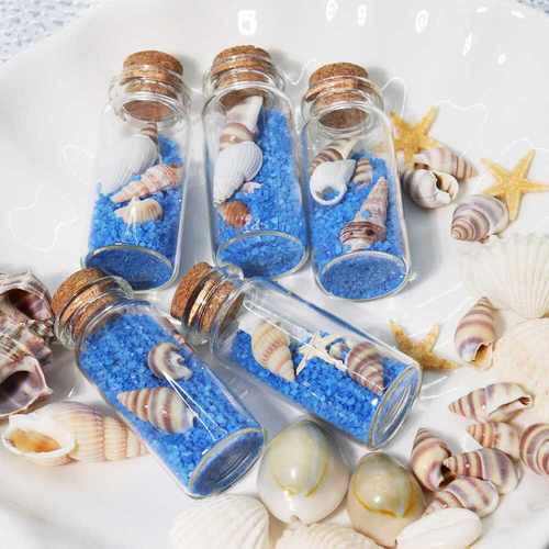 蓝色海螺贝壳创意礼物玻璃瓶