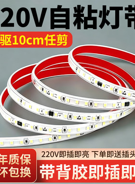 220v自粘灯带客厅吊顶led软灯条