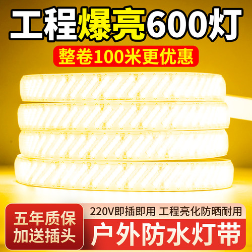 led灯带户外防水220v客厅外墙专